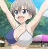 Akibahara