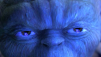 Saevus