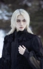 Silver_Templar