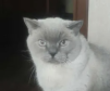 imtishka2281337